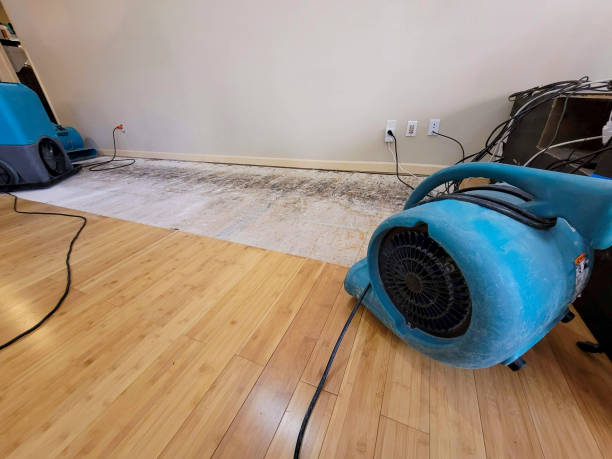 Professional Basement Flood Cleanup technician working in Catawba, SC